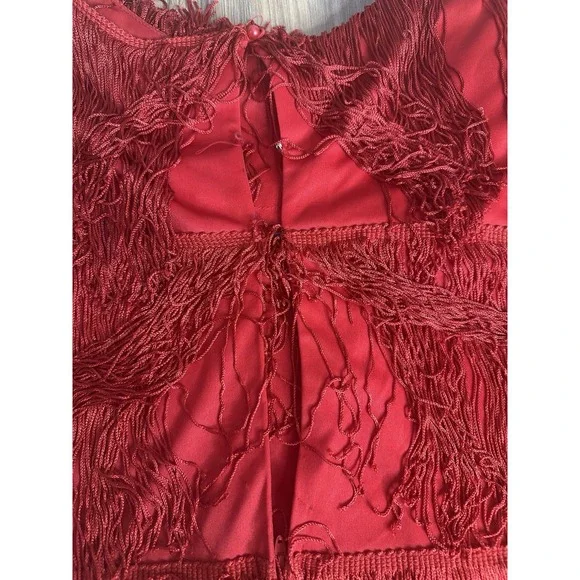 Cheryl Kaye Vintage Women's 16 Red Flapper Sleeveless‎ Tassels Fringe Dress USA - Picture 10 of 10